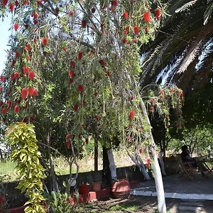 Διαμέρισμα To σπίτι της σουζάνας, Τορώνη
